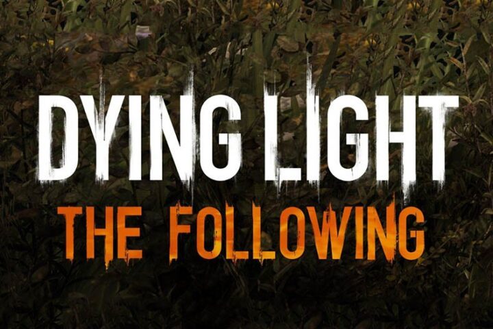Dying-Light-The-Following-790x527