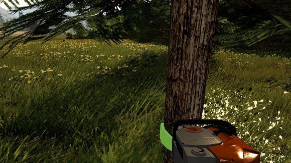 forestry-2017-the-simulation-pc-screenshot-www.ovagames.com-2