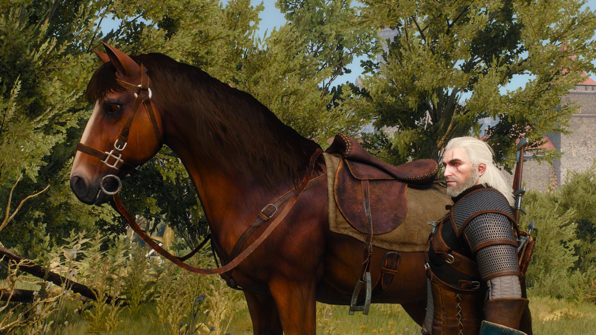 the-witcher-3-wild-hunt-nvidia-hairworks-horse