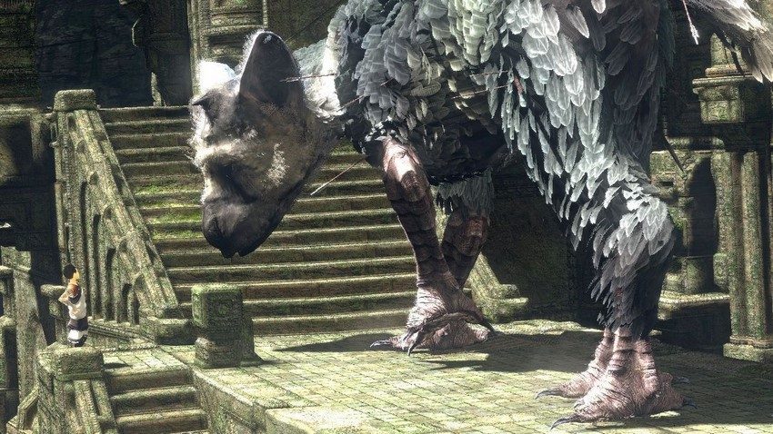 e3-2015-the-last-guardian-is-coming-to-playstation_8nh9.1920 (نسخ)