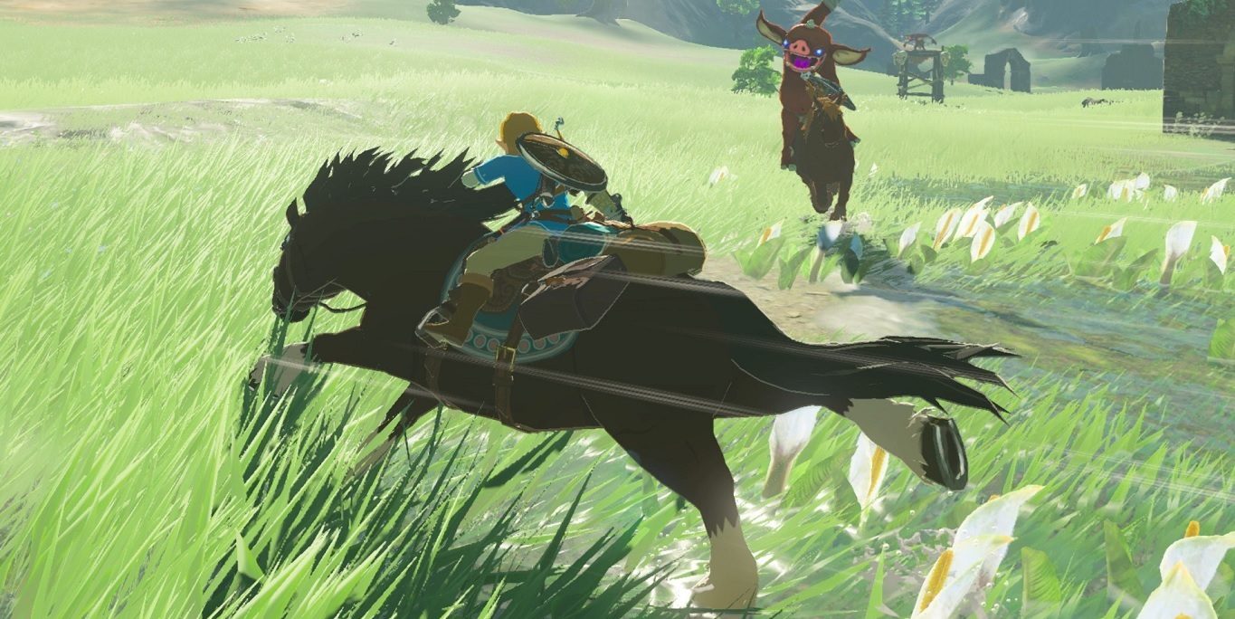 Zelda Breath of the Wild الذكرى السنوية