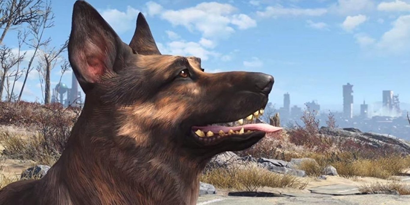 صورة Microsoft تتبرع بـ10 آلاف دولارات لجمعية خيرية – في ذكرى وفاة الكلب Dogmeat من Fallout 4